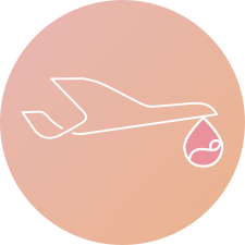 BoB icon